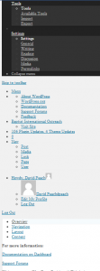 View of broken WordPress Dashboard